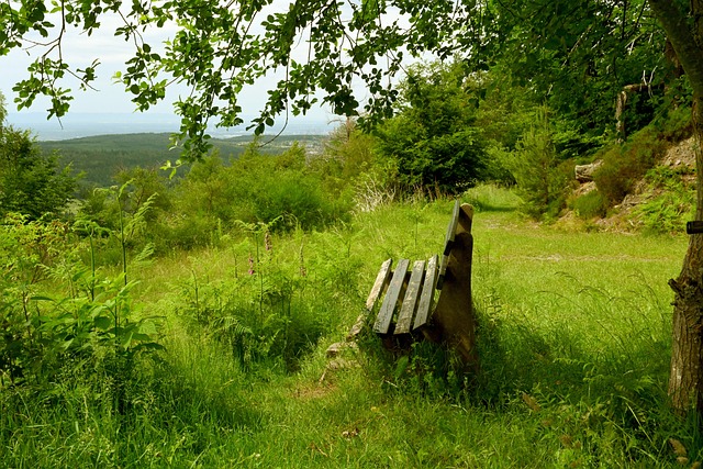 展的坚实根 展的坚实根
