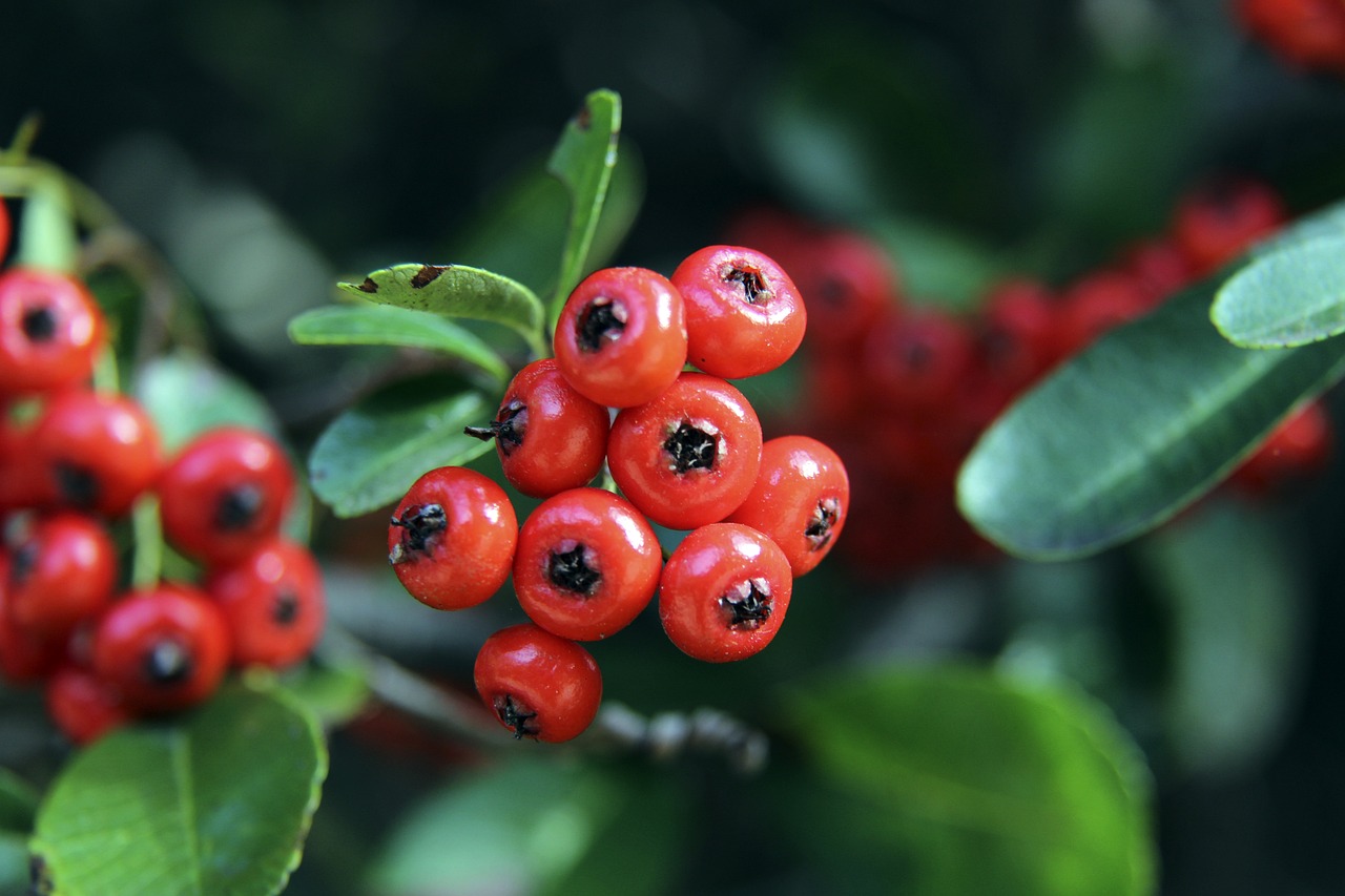 反手拨球技 反手拨球技