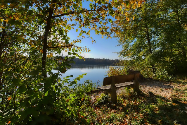 中超聯賽第17輪比賽集錦.